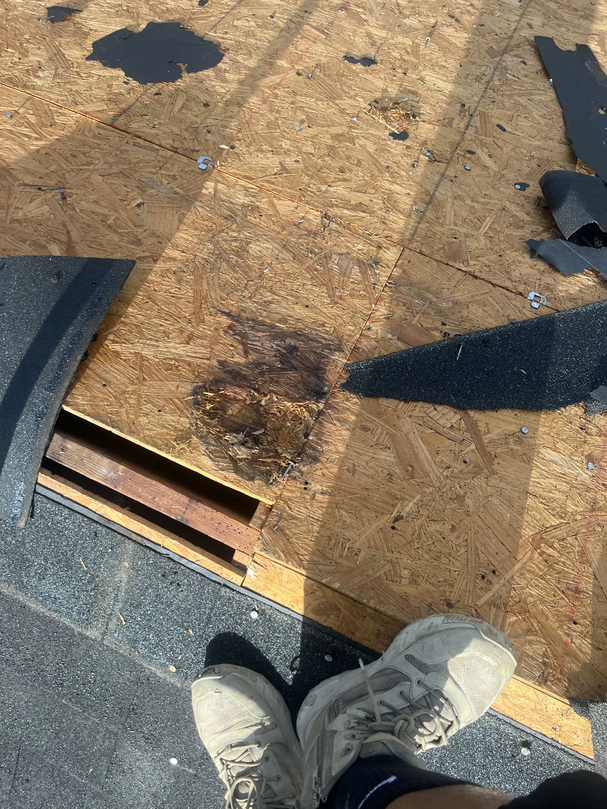Tear-off in Sugar Land, with rotted decking exposed at the eave